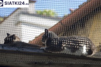 Siatki Grajewo - Siatka na balkony dla kota i zabezpieczenie dzieci dla terenów Grajewa