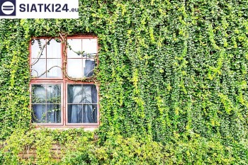 Siatki Grajewo - Siatka z dużym oczkiem - wsparcie dla roślin pnących na altance, domu i garażu dla terenów Grajewa